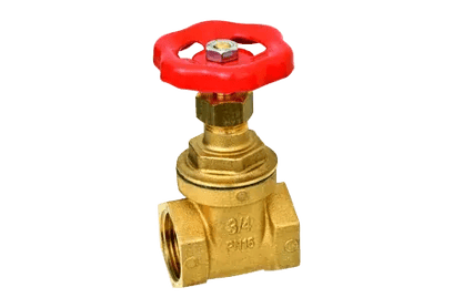 110NPT